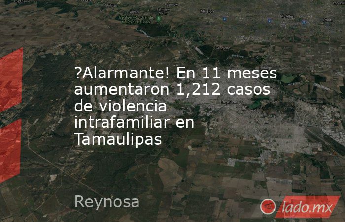 ?Alarmante! En 11 meses aumentaron 1,212 casos de violencia intrafamiliar en Tamaulipas. Noticias en tiempo real