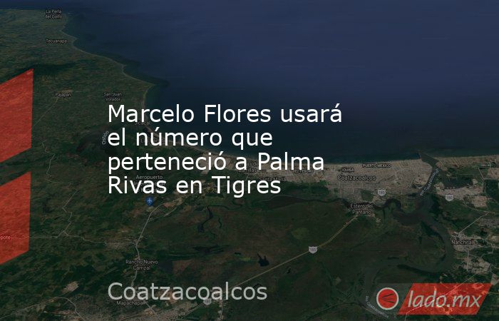Marcelo Flores usará el número que perteneció a Palma Rivas en Tigres. Noticias en tiempo real