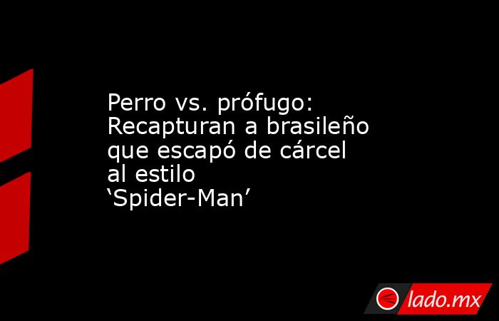 Perro vs. prófugo: Recapturan a brasileño que escapó de cárcel al estilo ‘Spider-Man’. Noticias en tiempo real