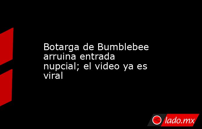Botarga de Bumblebee arruina entrada nupcial; el video ya es viral. Noticias en tiempo real