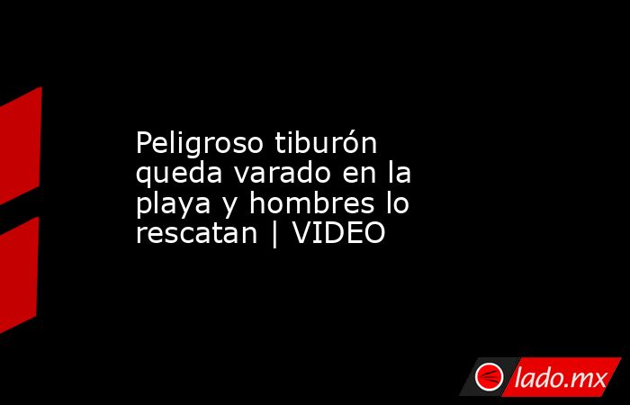 Peligroso tiburón queda varado en la playa y hombres lo rescatan | VIDEO. Noticias en tiempo real