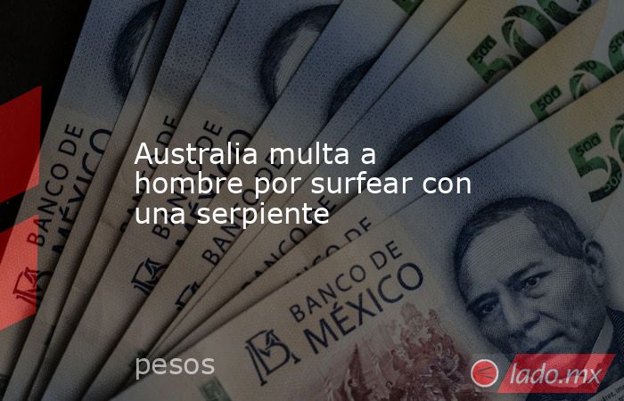 Australia multa a hombre por surfear con una serpiente. Noticias en tiempo real