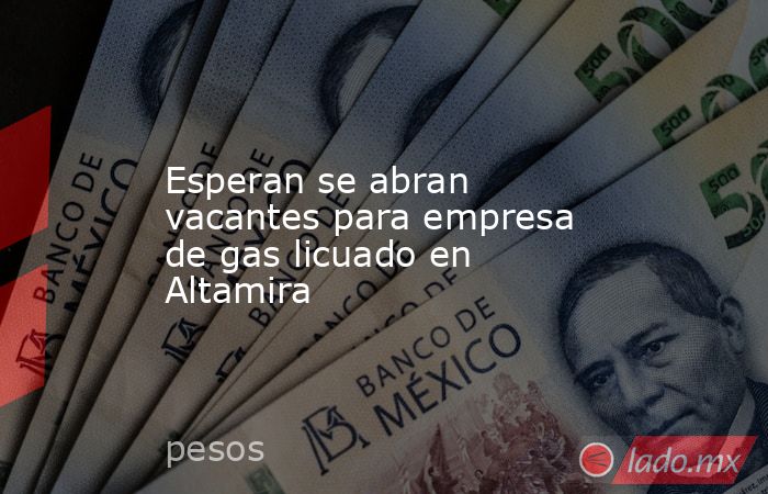 Esperan se abran vacantes para empresa de gas licuado en Altamira. Noticias en tiempo real
