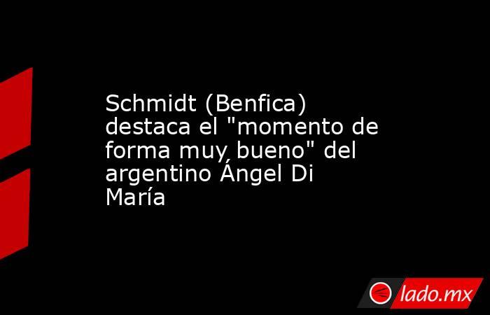 Schmidt (Benfica) destaca el 