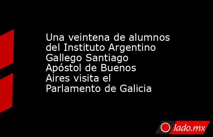 Una veintena de alumnos del Instituto Argentino Gallego Santiago Apóstol de Buenos Aires visita el Parlamento de Galicia. Noticias en tiempo real