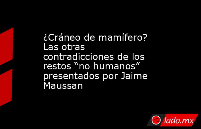 ¿Cráneo de mamífero? Las otras contradicciones de los restos “no humanos” presentados por Jaime Maussan. Noticias en tiempo real