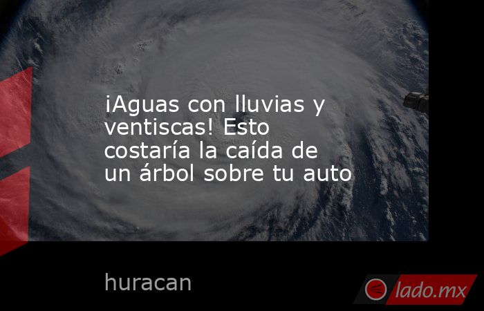¡Aguas con lluvias y ventiscas! Esto costaría la caída de un árbol sobre tu auto. Noticias en tiempo real