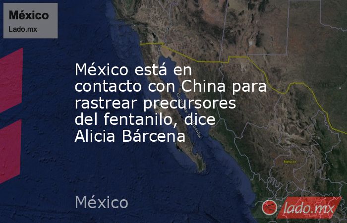 México está en contacto con China para rastrear precursores del fentanilo, dice Alicia Bárcena. Noticias en tiempo real