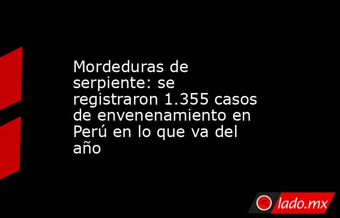 Mordeduras de serpiente: se registraron 1.355 casos de envenenamiento en Perú en lo que va del año . Noticias en tiempo real
