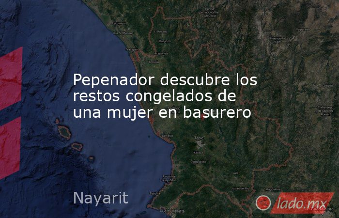 Pepenador descubre los restos congelados de una mujer en basurero. Noticias en tiempo real