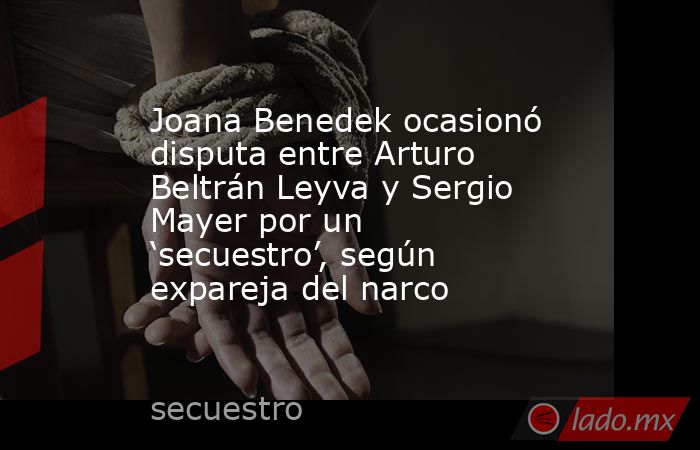 Joana Benedek ocasionó disputa entre Arturo Beltrán Leyva y Sergio Mayer por un ‘secuestro’, según expareja del narco. Noticias en tiempo real