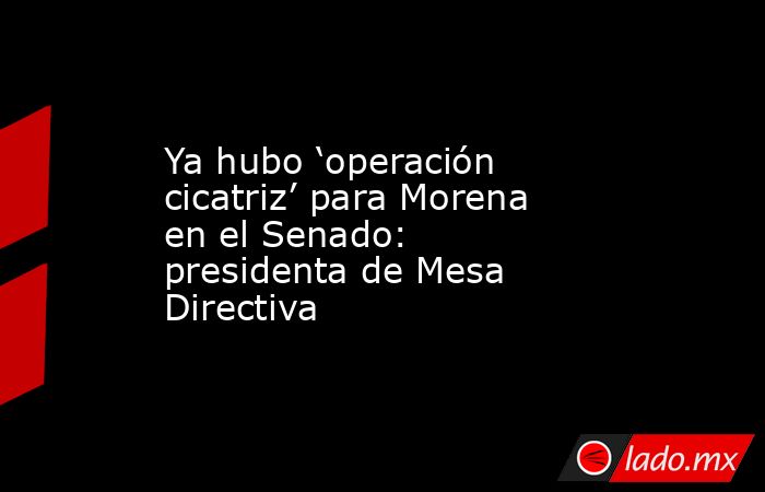 Ya hubo ‘operación cicatriz’ para Morena en el Senado: presidenta de Mesa Directiva. Noticias en tiempo real