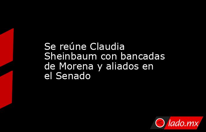 Se reúne Claudia Sheinbaum con bancadas de Morena y aliados en el Senado. Noticias en tiempo real