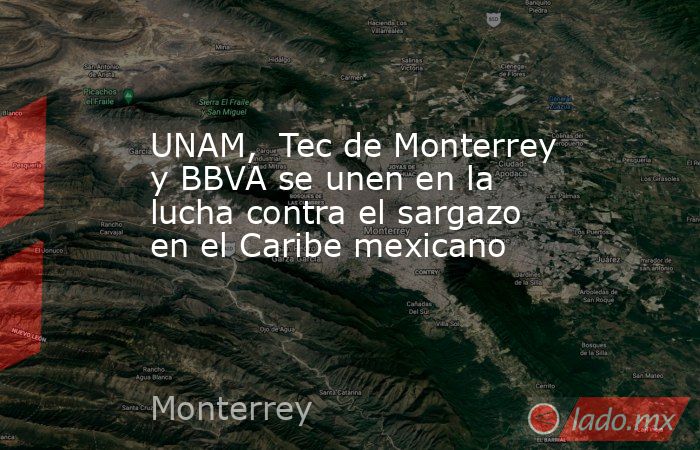 UNAM,  Tec de Monterrey y BBVA se unen en la lucha contra el sargazo en el Caribe mexicano. Noticias en tiempo real