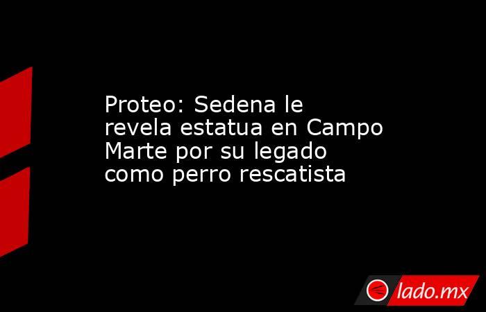 Proteo: Sedena le revela estatua en Campo Marte por su legado como perro rescatista. Noticias en tiempo real