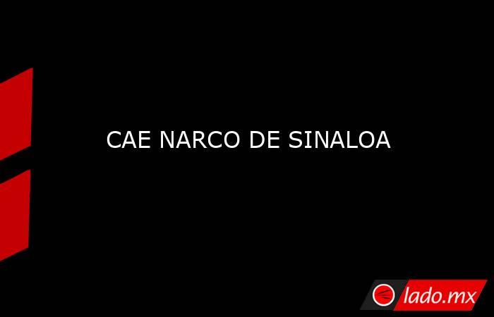 CAE NARCO DE SINALOA. Noticias en tiempo real
