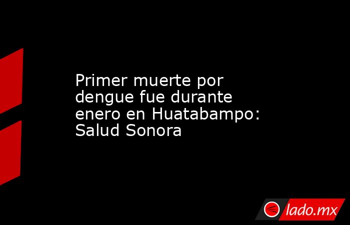 Primer muerte por dengue fue durante enero en Huatabampo: Salud Sonora. Noticias en tiempo real