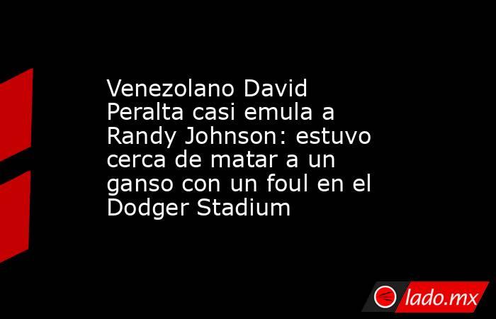 Venezolano David Peralta casi emula a Randy Johnson: estuvo cerca de matar a un ganso con un foul en el Dodger Stadium. Noticias en tiempo real