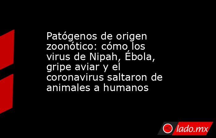 Patógenos de origen zoonótico: cómo los virus de Nipah, Ébola, gripe aviar y el coronavirus saltaron de animales a humanos . Noticias en tiempo real