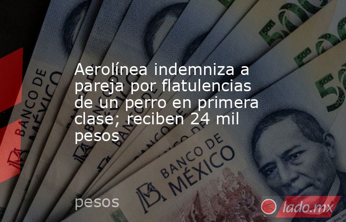 Aerolínea indemniza a pareja por flatulencias de un perro en primera clase; reciben 24 mil pesos. Noticias en tiempo real