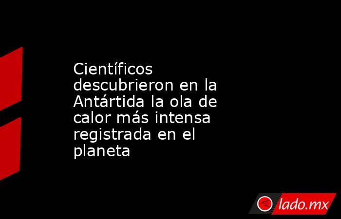 Científicos descubrieron en la Antártida la ola de calor más intensa registrada en el planeta. Noticias en tiempo real
