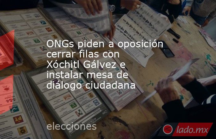 ONGs piden a oposición cerrar filas con Xóchitl Gálvez e instalar mesa de diálogo ciudadana. Noticias en tiempo real
