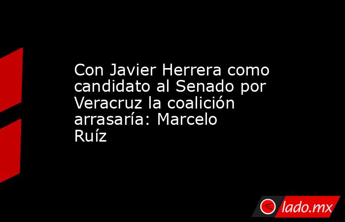 Con Javier Herrera como candidato al Senado por Veracruz la coalición arrasaría: Marcelo Ruíz. Noticias en tiempo real