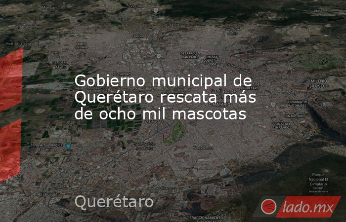 Gobierno municipal de Querétaro rescata más de ocho mil mascotas. Noticias en tiempo real