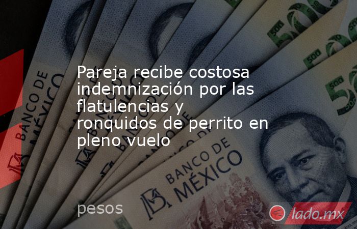 Pareja recibe costosa indemnización por las flatulencias y ronquidos de perrito en pleno vuelo. Noticias en tiempo real
