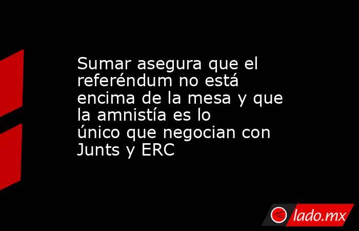 Sumar asegura que el referéndum no está encima de la mesa y que la amnistía es lo único que negocian con Junts y ERC. Noticias en tiempo real