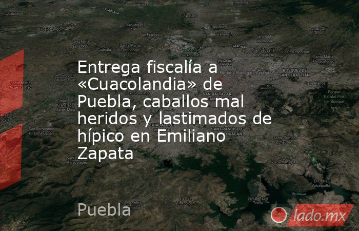 Entrega fiscalía a «Cuacolandia» de Puebla, caballos mal heridos y lastimados de hípico en Emiliano Zapata. Noticias en tiempo real
