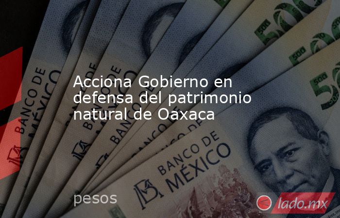 Acciona Gobierno en defensa del patrimonio natural de Oaxaca. Noticias en tiempo real