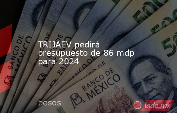 TRIJAEV pedirá presupuesto de 86 mdp para 2024. Noticias en tiempo real
