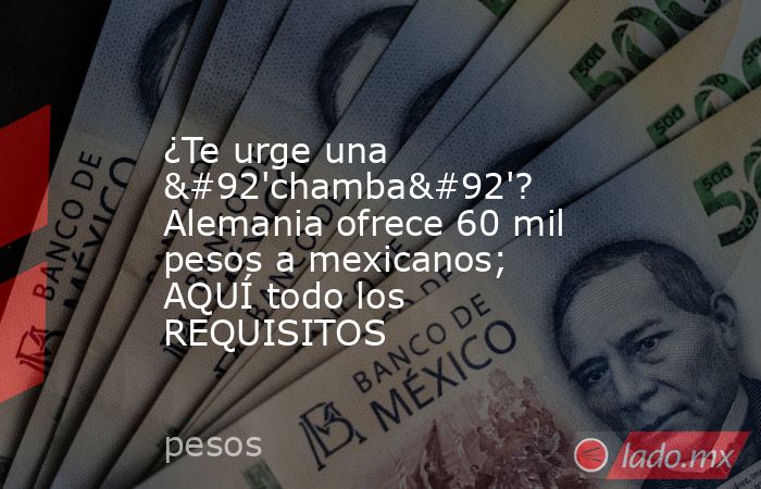 ¿Te urge una \'chamba\'? Alemania ofrece 60 mil pesos a mexicanos; AQUÍ todo los REQUISITOS. Noticias en tiempo real