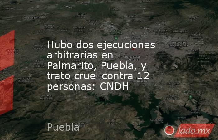 Hubo dos ejecuciones arbitrarias en Palmarito, Puebla, y trato cruel contra 12 personas: CNDH. Noticias en tiempo real