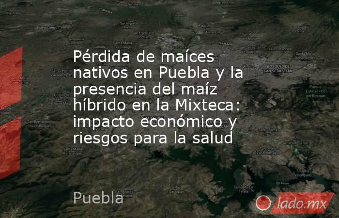 Pérdida de maíces nativos en Puebla y la presencia del maíz híbrido en la Mixteca: impacto económico y riesgos para la salud. Noticias en tiempo real