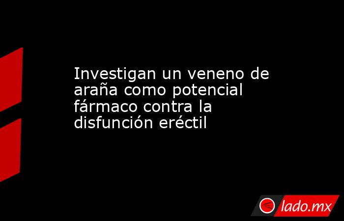 Investigan un veneno de araña como potencial fármaco contra la disfunción eréctil. Noticias en tiempo real