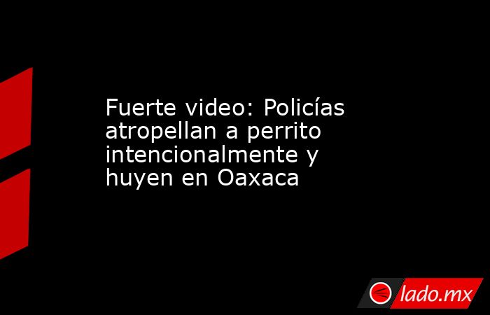 Fuerte video: Policías atropellan a perrito intencionalmente y huyen en Oaxaca. Noticias en tiempo real