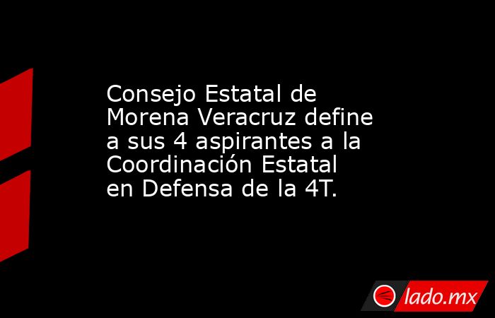 Consejo Estatal de Morena Veracruz define a sus 4 aspirantes a la Coordinación Estatal en Defensa de la 4T.. Noticias en tiempo real