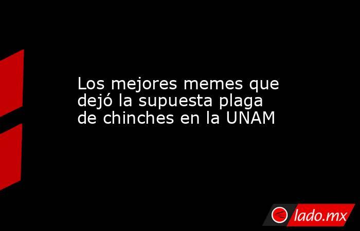 Los mejores memes que dejó la supuesta plaga de chinches en la UNAM. Noticias en tiempo real