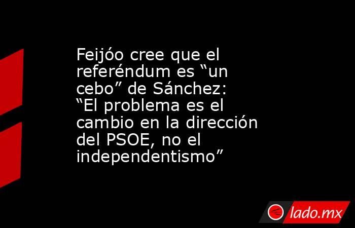 Feijóo cree que el referéndum es “un cebo” de Sánchez: “El problema es el cambio en la dirección del PSOE, no el independentismo”. Noticias en tiempo real