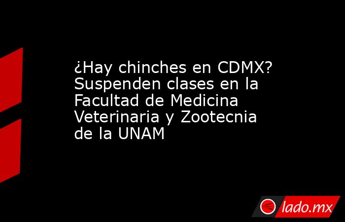 ¿Hay chinches en CDMX? Suspenden clases en la Facultad de Medicina Veterinaria y Zootecnia de la UNAM. Noticias en tiempo real