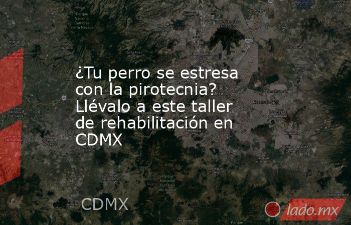 ¿Tu perro se estresa con la pirotecnia? Llévalo a este taller de rehabilitación en CDMX. Noticias en tiempo real