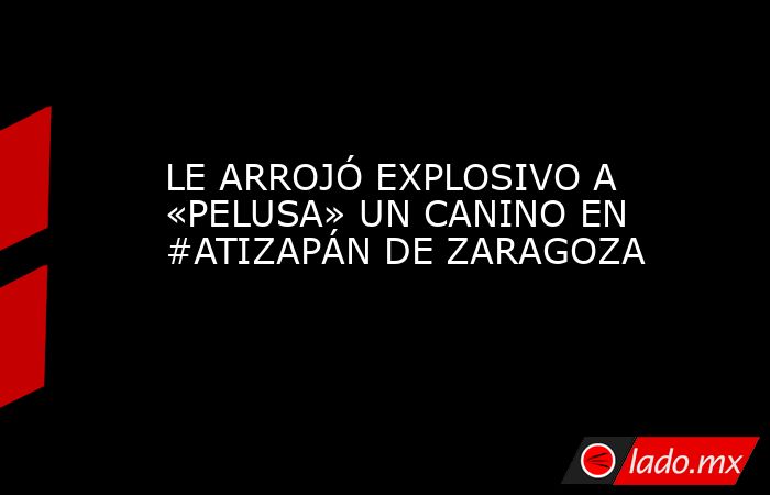 LE ARROJÓ EXPLOSIVO A «PELUSA» UN CANINO EN #ATIZAPÁN DE ZARAGOZA. Noticias en tiempo real
