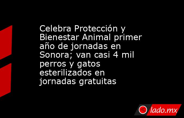 Celebra Protección y Bienestar Animal primer año de jornadas en Sonora; van casi 4 mil perros y gatos esterilizados en jornadas gratuitas. Noticias en tiempo real