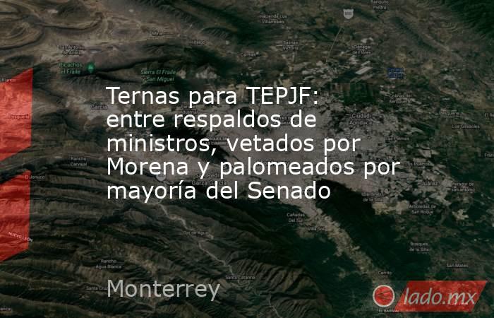 Ternas para TEPJF: entre respaldos de ministros, vetados por Morena y palomeados por mayoría del Senado. Noticias en tiempo real