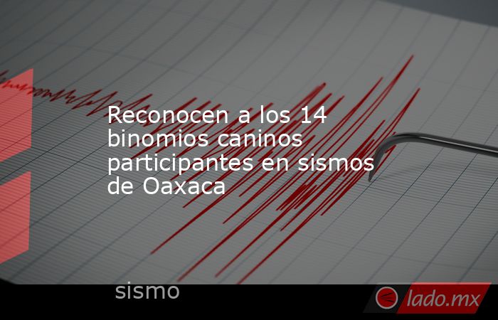 Reconocen a los 14 binomios caninos participantes en sismos de Oaxaca. Noticias en tiempo real