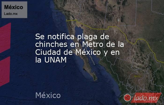 Se notifica plaga de chinches en Metro de la Ciudad de México y en la UNAM. Noticias en tiempo real