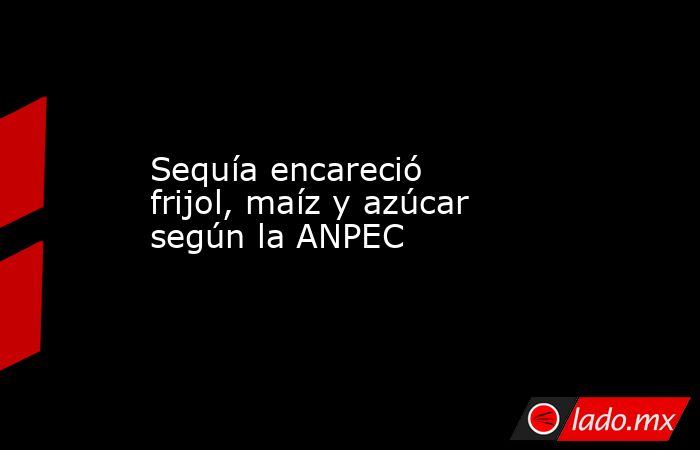 Sequía encareció frijol, maíz y azúcar según la ANPEC. Noticias en tiempo real