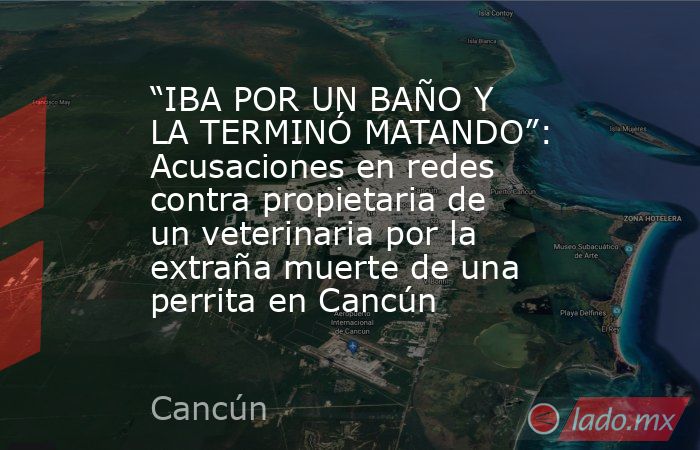 “IBA POR UN BAÑO Y LA TERMINÓ MATANDO”: Acusaciones en redes contra propietaria de un veterinaria por la extraña muerte de una perrita en Cancún. Noticias en tiempo real